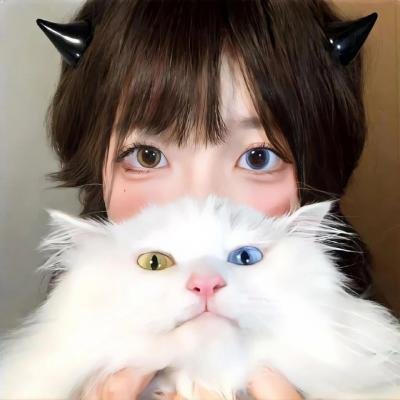 狗仔窥视界